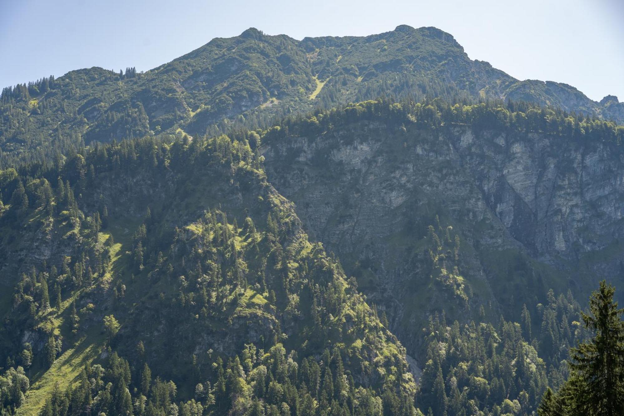 Apartament Waldgut Oberstdorf Zewnętrze zdjęcie